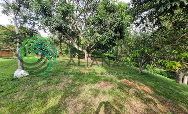 finca en venta en vereda los cauchos. Cod V61406