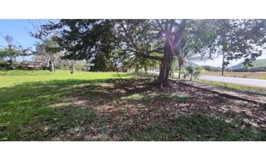 VENDO LOTE DE 8002M2 COMERCIAL