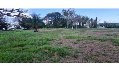 VENDO LOTE DE 8002M2 COMERCIAL