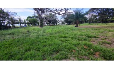 VENDO LOTE DE 8002M2 COMERCIAL