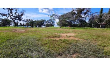 VENDO LOTE DE 8002M2 COMERCIAL