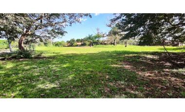 VENDO LOTE DE 8002M2 COMERCIAL