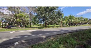 VENDO LOTE DE 8002M2 COMERCIAL