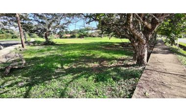 VENDO LOTE DE 8002M2 COMERCIAL