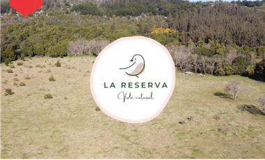 OPORTUNIDAD Loteo La Reserva (Acceso por calle 48 y 91)