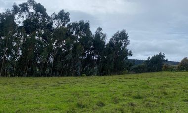 lote en venta en vereda poravita. Cod V5627