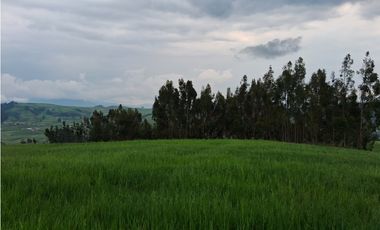 VENDO TERRENO 11,300 M2 HUAYPO GRANDE CHINCHERO CUSCO