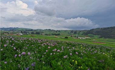 VENDO TERRENO 11,300 M2 HUAYPO GRANDE CHINCHERO CUSCO