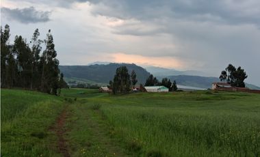 VENDO TERRENO 11,300 M2 HUAYPO GRANDE CHINCHERO CUSCO