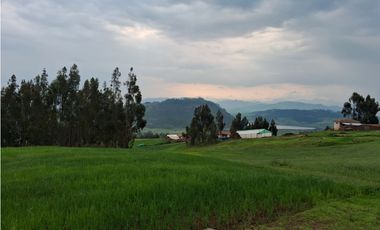 VENDO TERRENO 11,300 M2 HUAYPO GRANDE CHINCHERO CUSCO