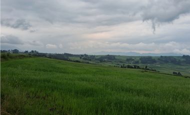 VENDO TERRENO 11,300 M2 HUAYPO GRANDE CHINCHERO CUSCO
