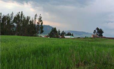 VENDO TERRENO 11,300 M2 HUAYPO GRANDE CHINCHERO CUSCO