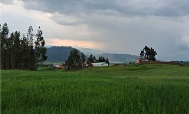 VENDO TERRENO 11,300 M2 HUAYPO GRANDE CHINCHERO CUSCO