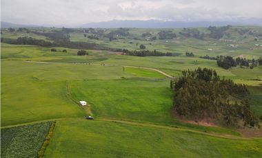 VENDO TERRENO 11,300 M2 HUAYPO GRANDE CHINCHERO CUSCO