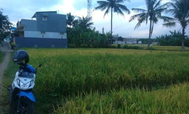 Tanah Belakang Lapangan Asrikaton Dekat Tol, MURAH di Pakis Malang