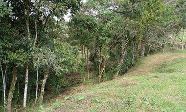 PR14531 Lote para la venta en Vereda El Cerro