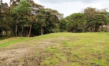 PR14531 Lote para la venta en Vereda El Cerro