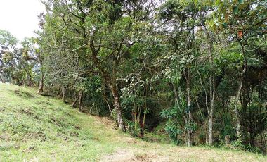 PR14531 Lote para la venta en Vereda El Cerro