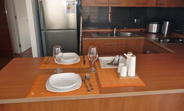 Departamento amoblado en arriendo Manuel Montt Providencia