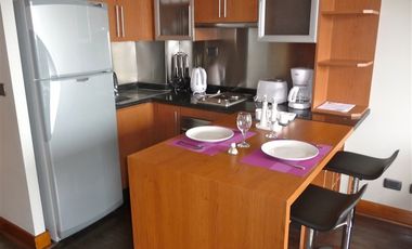 Departamento amoblado en arriendo Manuel Montt Providencia