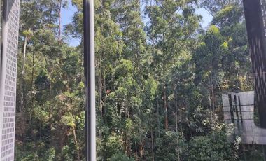 Oficina para arriendo en medellín sector palmas