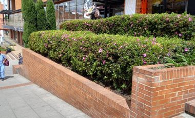 local en arriendo/venta en pardo rubio. Cod A121133012