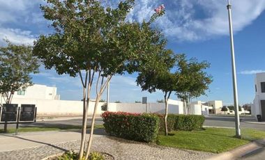 TERRENOS EN VENTA RESIDENCIAL ALMERAS EN TORREÓN, COAHUILA