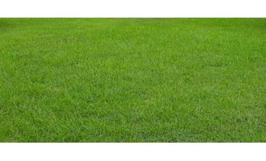 Terreno venta en San Francisco, Ciudad de Panamá