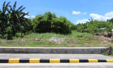 Residential lot in Parkwoods Executive Village, Pasig