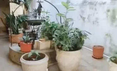 casa en venta en el centro. Cod V253