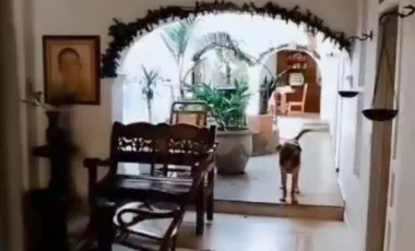 casa en venta en el centro. Cod V253