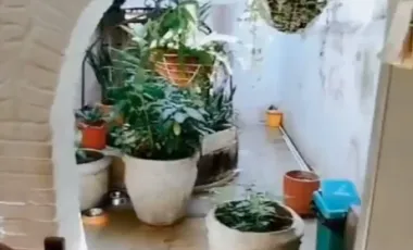 casa en venta en el centro. Cod V253