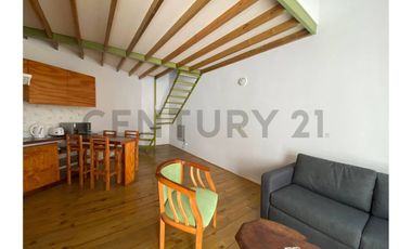 Venta Loft Duplex amoblado Cerro Santo Domingo