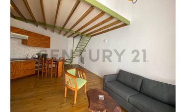 Venta Loft Duplex amoblado Cerro Santo Domingo
