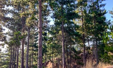 Sitio en venta en Loteo Alto Boyeruca, Comuna Vichuquén