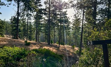 Sitio en venta en Loteo Alto Boyeruca, Comuna Vichuquén