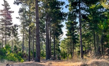 Sitio en venta en Loteo Alto Boyeruca, Comuna Vichuquén