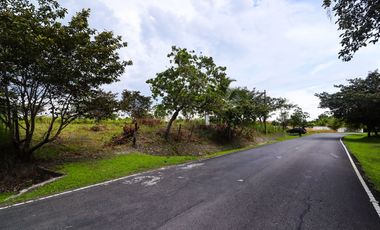 Costa Esmeralda Lot - Unmatched Price