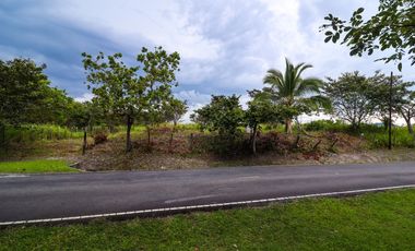 Costa Esmeralda Lot - Unmatched Price