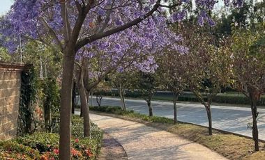 LOTES EN VENTA PARQUE DUBLIN LOMAS DE ANGELOPOLIS II