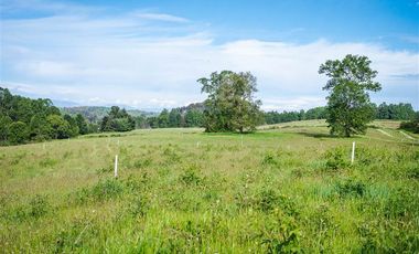 Sitio en Venta en Parcelación Agricola Los Cipreses (Etapa 2) 5. 000 m2, Paillaco, Futrono, Valdivia