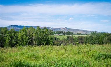 Sitio en Venta en Parcelación Agricola Los Cipreses (Etapa 2) 5. 000 m2, Paillaco, Futrono, Valdivia