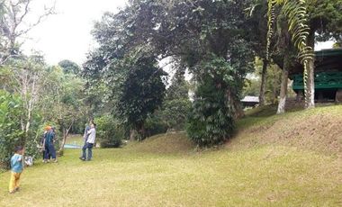 Dijual Cepat Vila di Puncak Pass Cianjur Lt 7135 m2 SHM