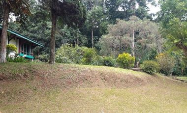 Dijual Cepat Vila di Puncak Pass Cianjur Lt 7135 m2 SHM