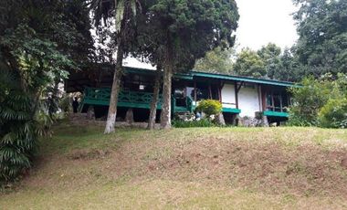 Dijual Cepat Vila di Puncak Pass Cianjur Lt 7135 m2 SHM
