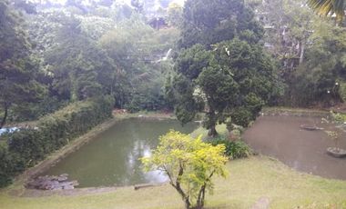 Dijual Cepat Vila di Puncak Pass Cianjur Lt 7135 m2 SHM