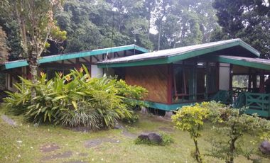 Dijual Cepat Vila di Puncak Pass Cianjur Lt 7135 m2 SHM
