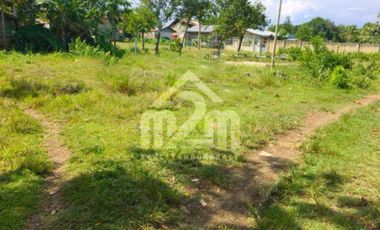 Residential Lot Only For Sale in Catarman, Liloan, Cebu