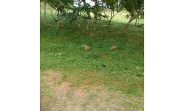 VENDO TERRENO EN ARRAIJAN NUEVO EMPERADOR 1000MTS