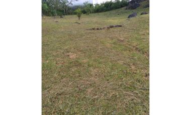 VENDO TERRENO EN ARRAIJAN NUEVO EMPERADOR 1000MTS